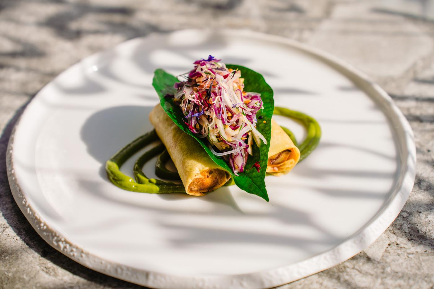 Noordzee loempia’s - kimchi noedelsalade - pinda Thaise basilicum dressing 